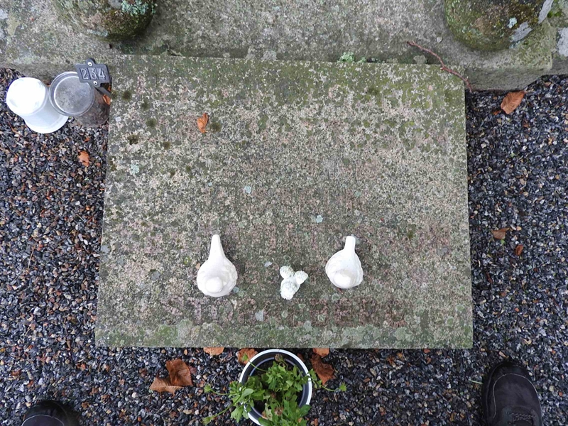 Hautatunnus: BRO 1   234