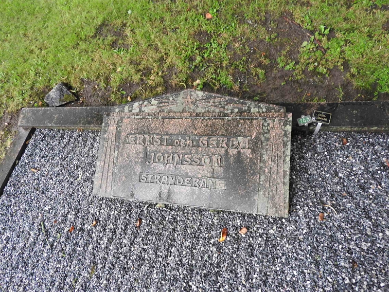 Hautatunnus: BRO 1   245