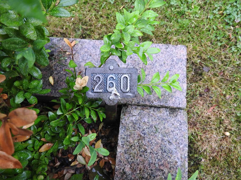 Hautatunnus: BRO 1   260
