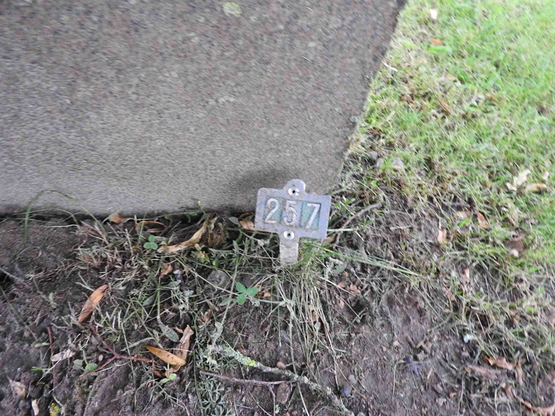 Hautatunnus: BRO 1   257