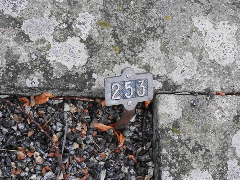 Hautatunnus: BRO 1   253