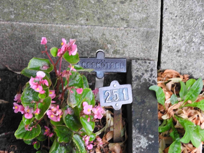 Hautatunnus: BRO 1   251