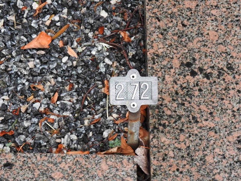 Hautatunnus: BRO 1   272