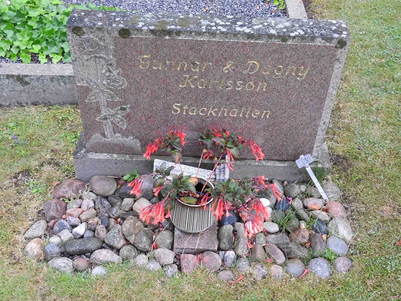 Hautatunnus: BRO 1   269