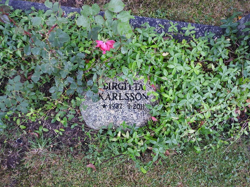 Hautatunnus: BRO 1   277