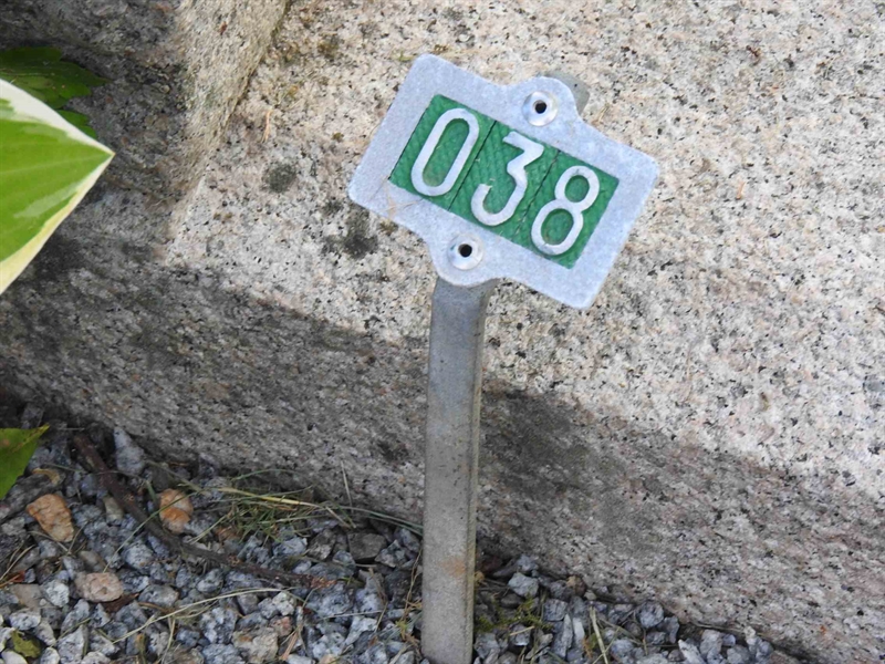 Hautatunnus: BRO 1    38