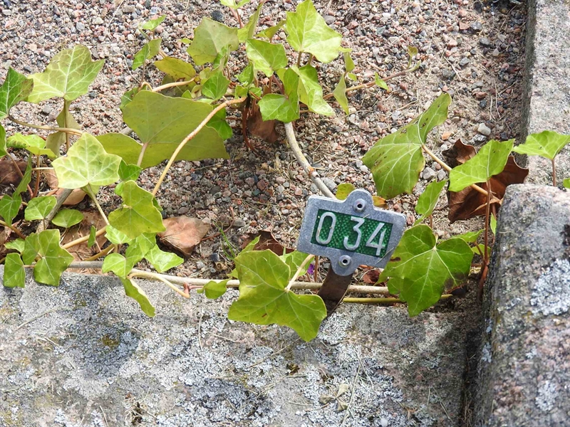 Hautatunnus: BRO 1    34