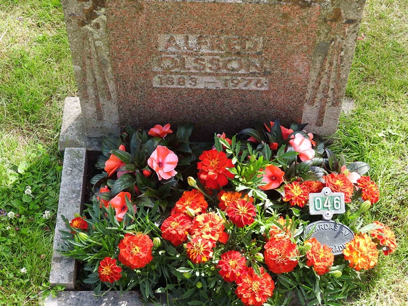 Hautatunnus: BRO 1    46