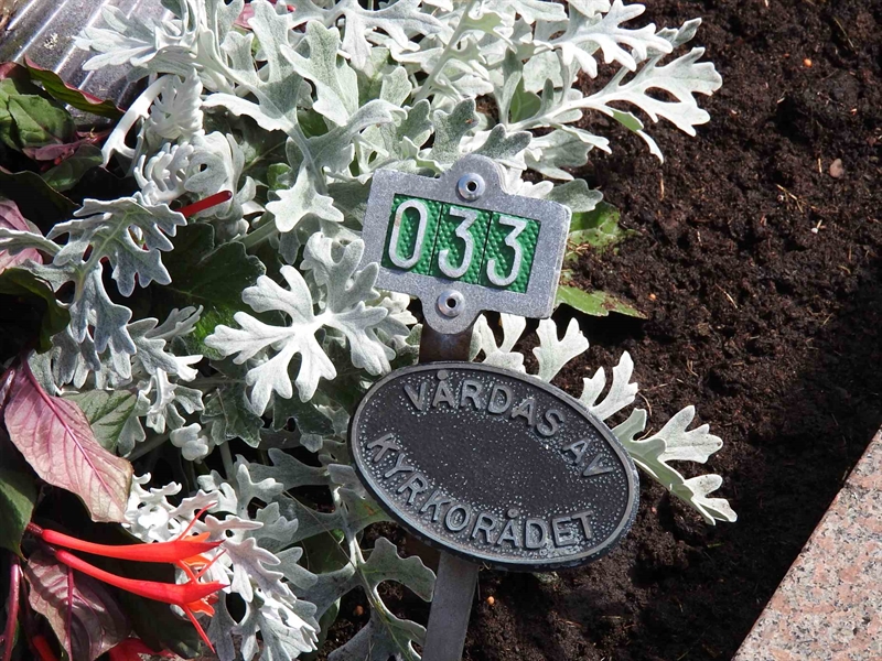 Hautatunnus: BRO 1    33