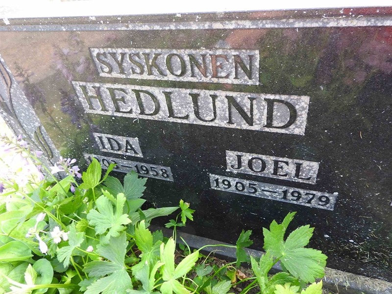 Hautatunnus: BRO 1    36