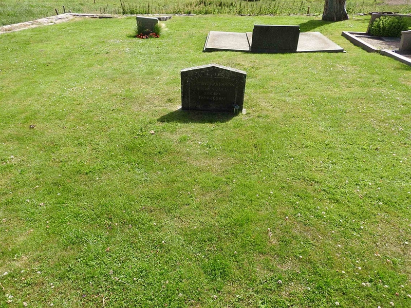 Hautatunnus: BRO 1    43