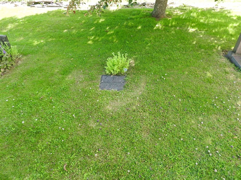 Hautatunnus: BRO 1     6