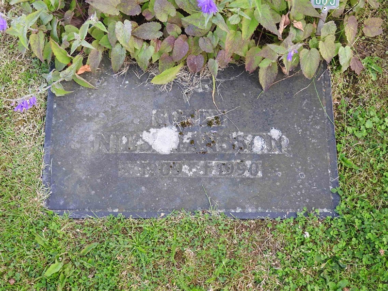 Hautatunnus: BRO 1     5