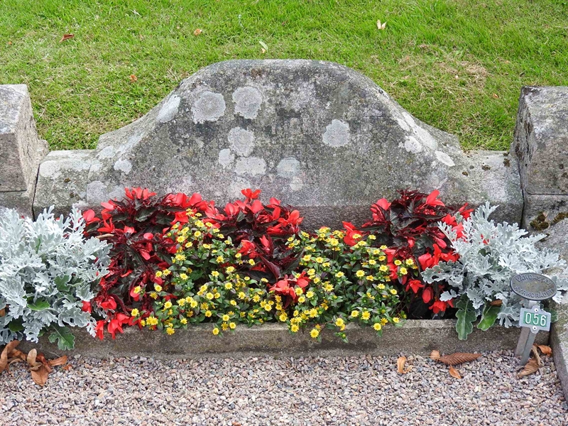 Hautatunnus: BRO 1    56