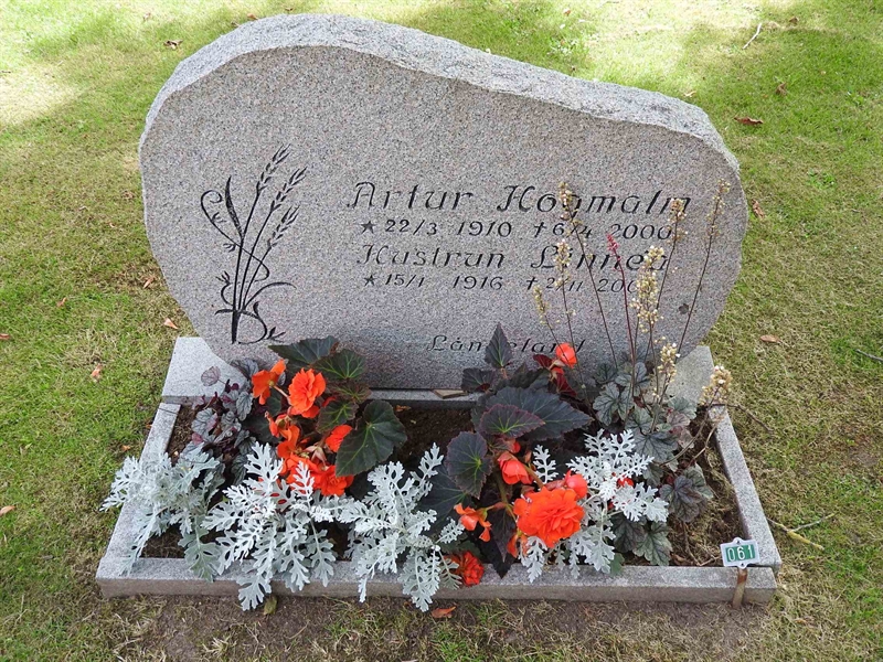 Hautatunnus: BRO 1    61