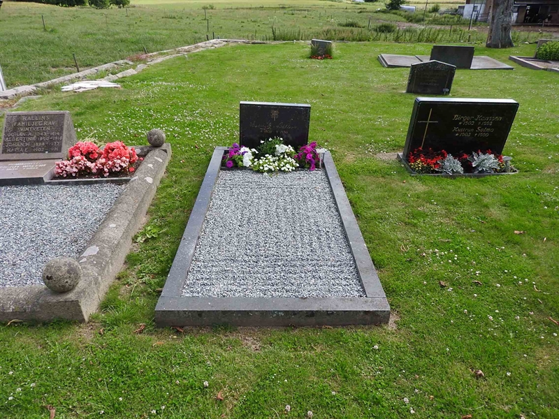 Hautatunnus: BRO 1    64