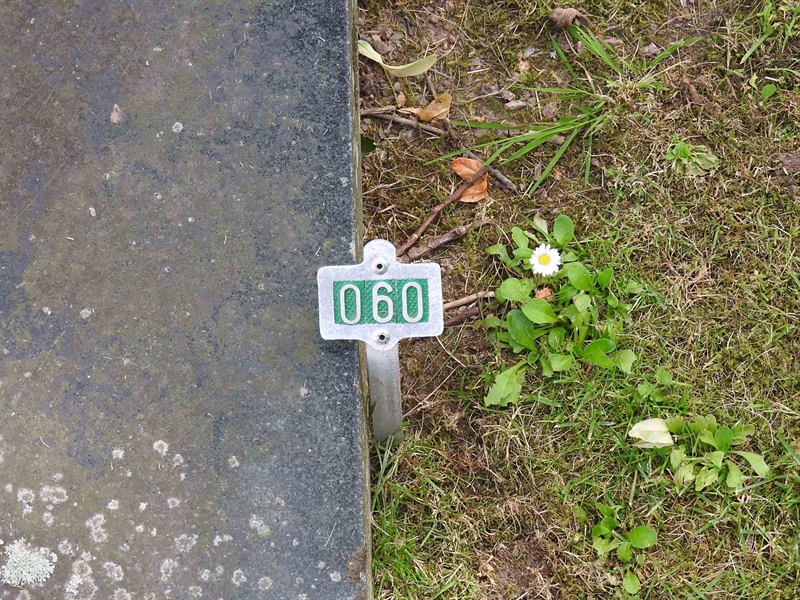 Hautatunnus: BRO 1    60