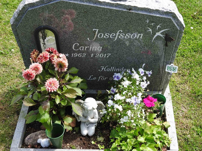 Hautatunnus: BRO 1    85b