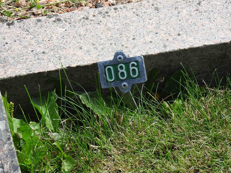 Hautatunnus: BRO 1    86