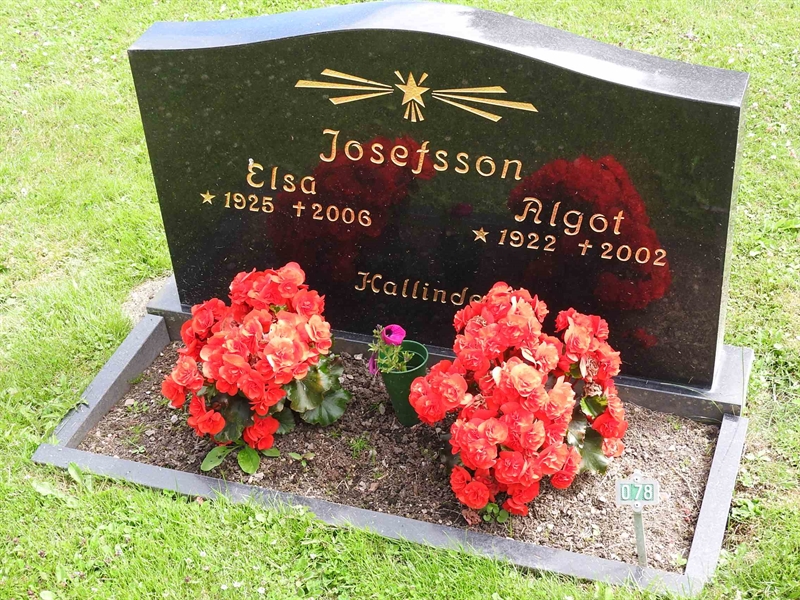 Hautatunnus: BRO 1    78-79