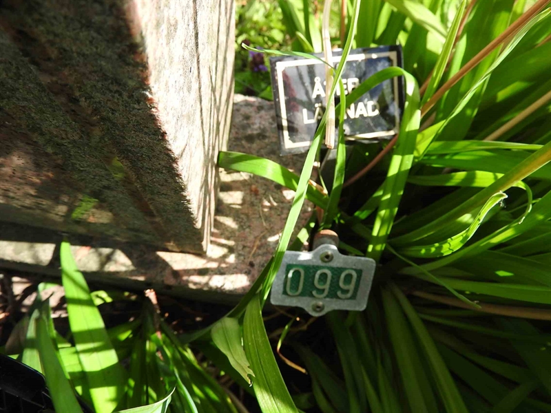 Hautatunnus: BRO 1    99