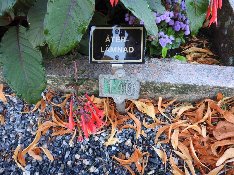 Hautatunnus: BRO 2   140