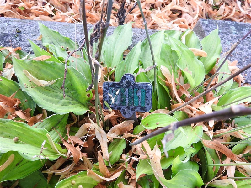 Hautatunnus: BRO 2    11