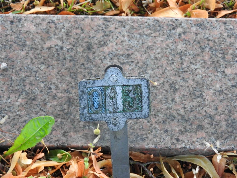 Hautatunnus: BRO 2    13