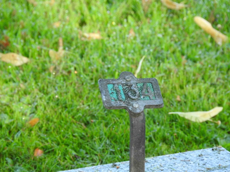 Hautatunnus: BRO 2   134