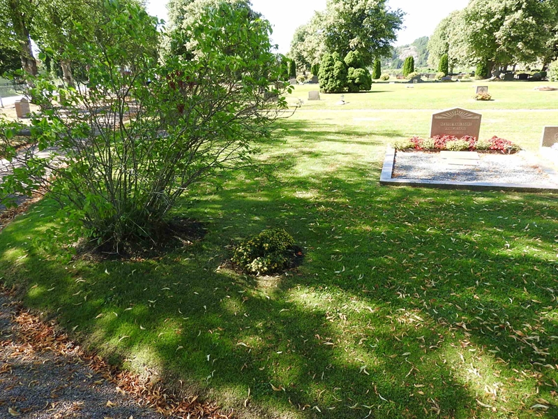 Hautatunnus: BRO 2   136