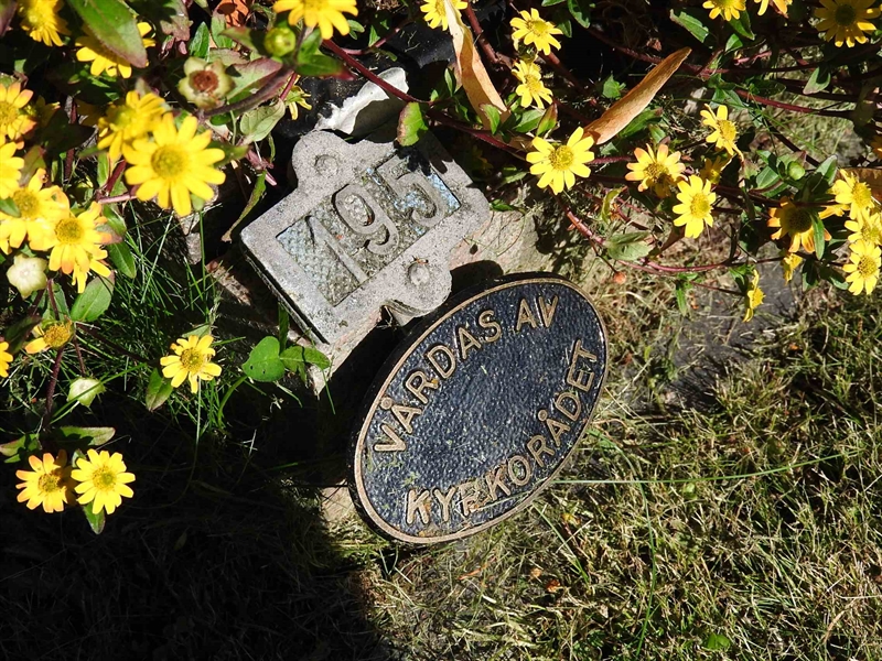 Hautatunnus: BRO 2   195