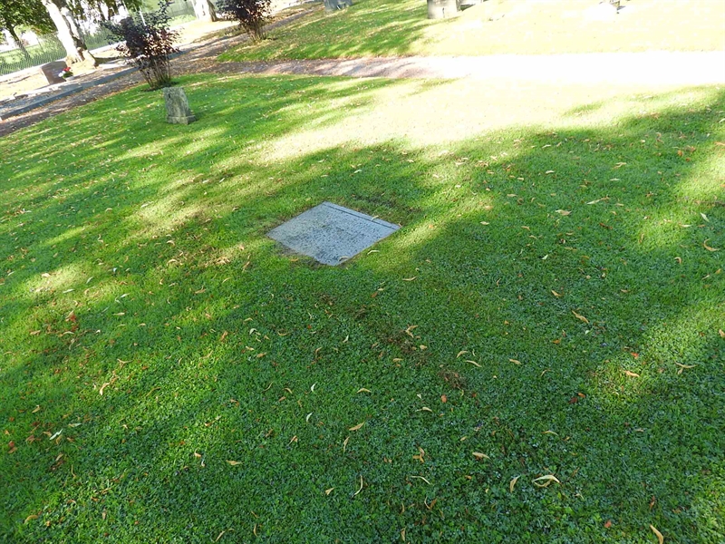 Hautatunnus: BRO 2   152