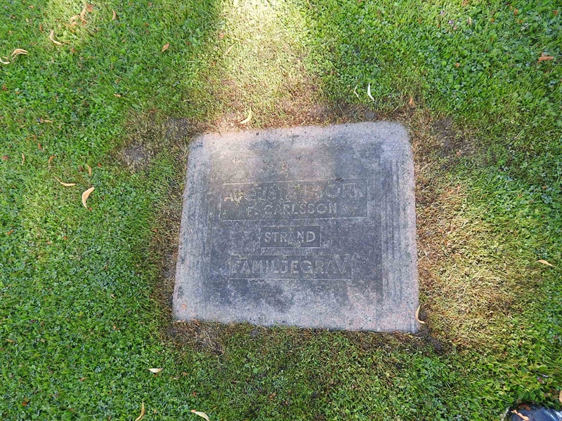 Hautatunnus: BRO 2   151