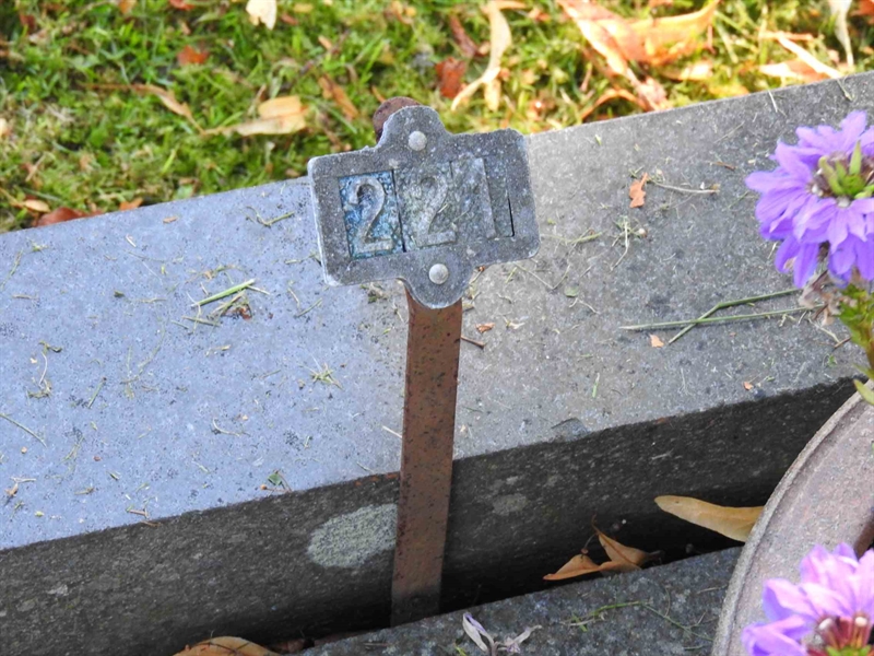 Hautatunnus: BRO 2   221