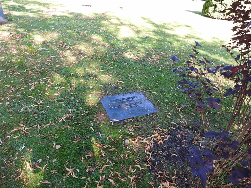 Hautatunnus: BRO 2   217