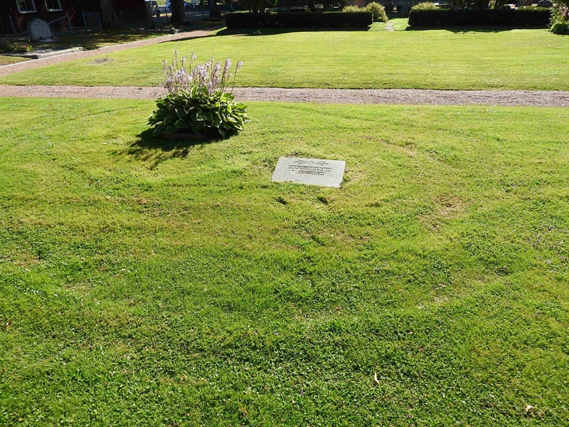 Hautatunnus: BRO 2   301