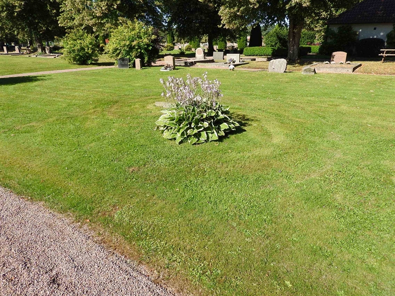 Hautatunnus: BRO 2   289