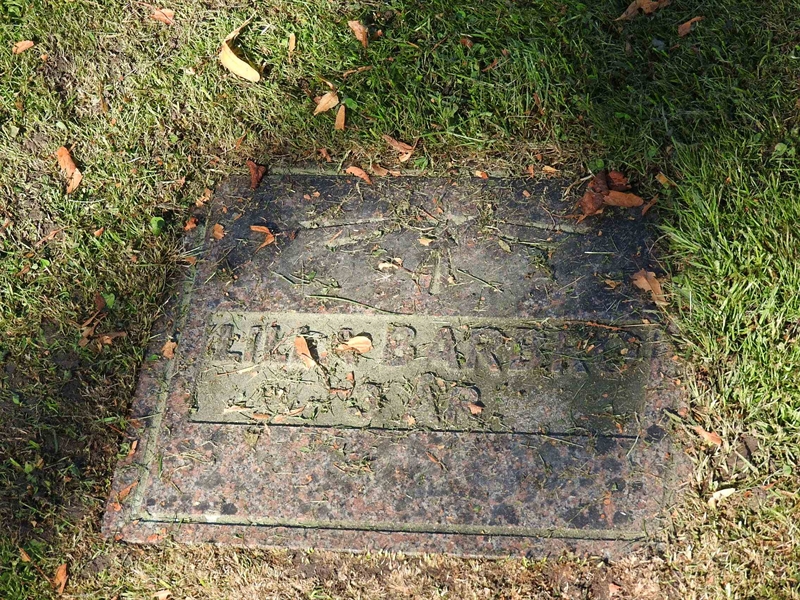 Hautatunnus: BRO 2   264