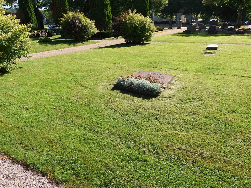 Hautatunnus: BRO 2   269-270