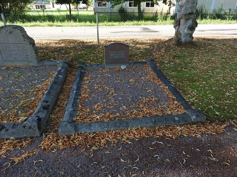 Hautatunnus: BRO 2    31