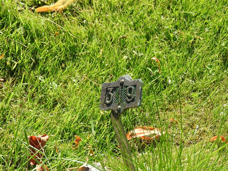 Gravnummer: BRO 2   319