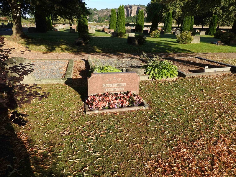 Hautatunnus: BRO 2    33