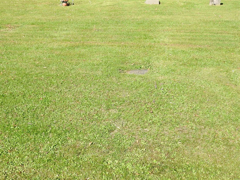 Hautatunnus: BRO 2   337