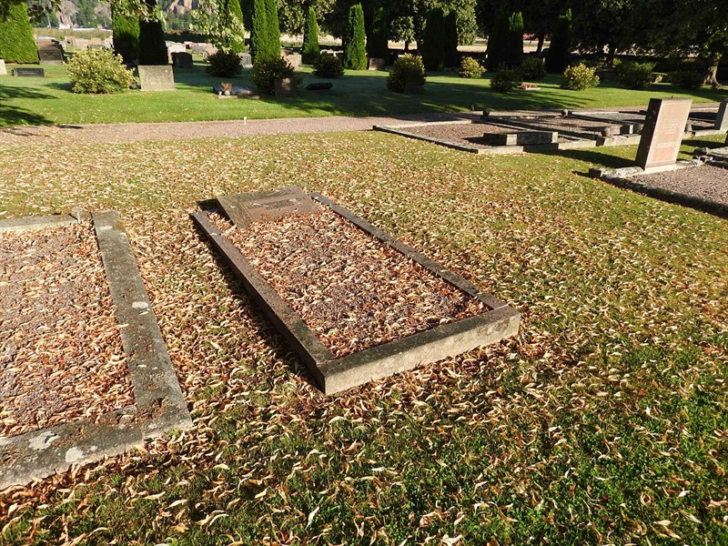 Hautatunnus: BRO 2    36