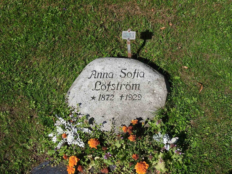 Hautatunnus: BRO 2   333