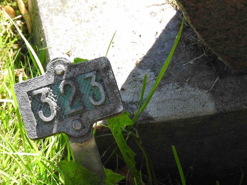 Hautatunnus: BRO 2   323