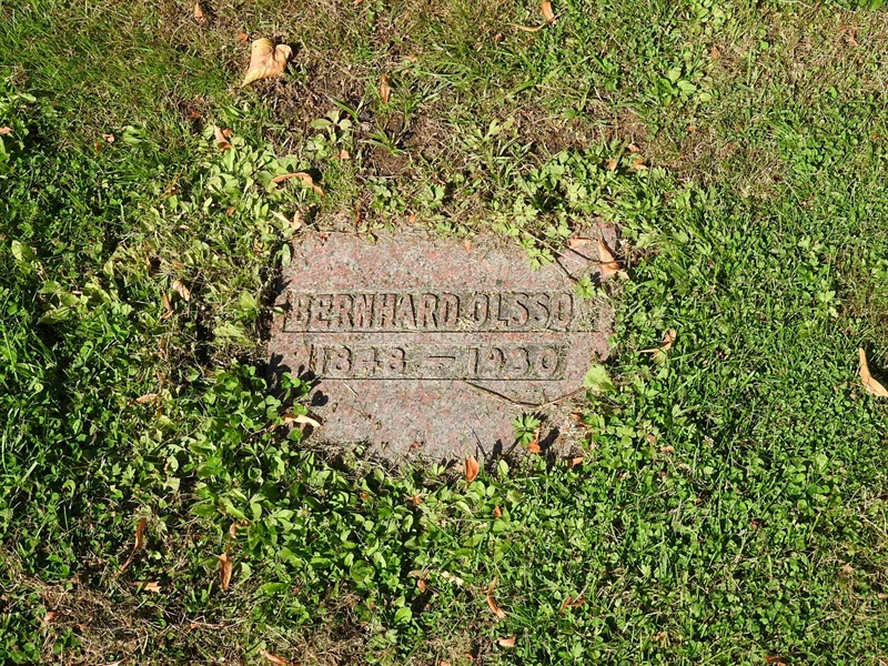 Hautatunnus: BRO 2   361