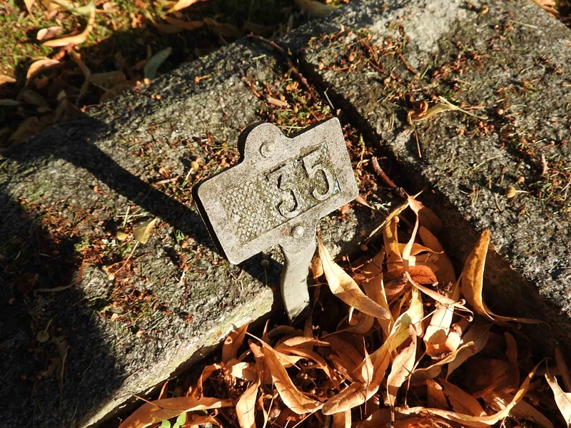 Hautatunnus: BRO 2    35