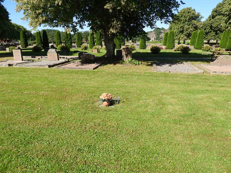 Hautatunnus: BRO 2   381