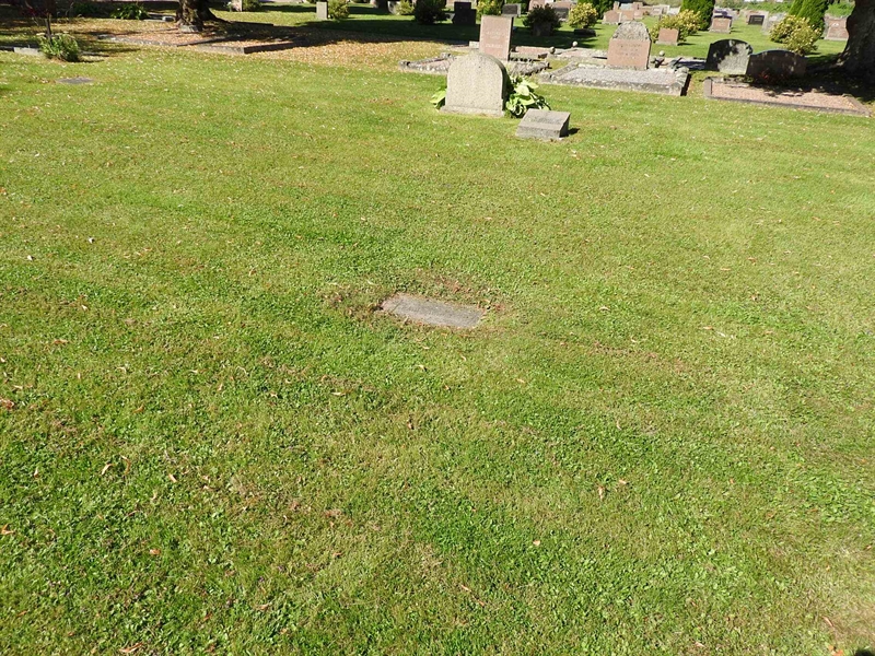 Hautatunnus: BRO 2   364